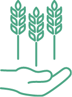 Grain Handling Operations